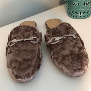 Merona women’s maybe colored velvet mules